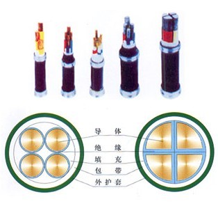 廈門 YJV_銅芯交聯(lián)聚乙烯絕緣聚氯乙烯護套電力電纜