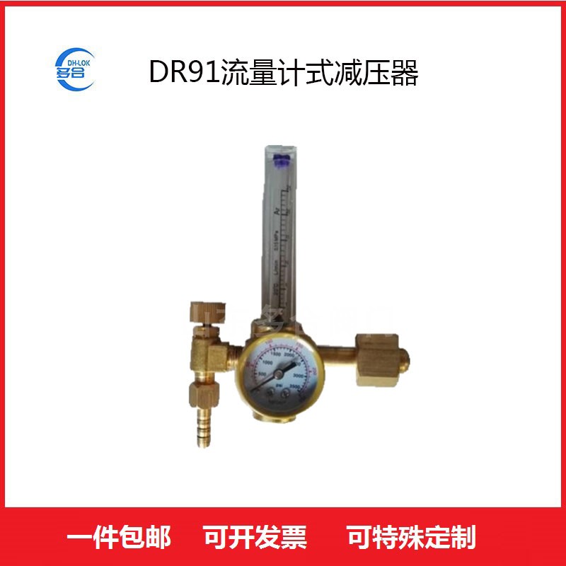 DR191流量計式氣體減壓閥黃銅減器氧氣表全銅壓力調(diào)節(jié)閥門