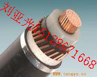 供應(yīng)vv223120+170電力電纜