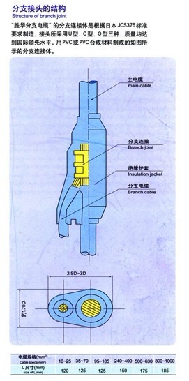 預(yù)分支電纜生產(chǎn)供應(yīng)商