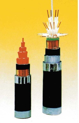 KVV22控制電纜價(jià)格_KVV22控制電纜廠家