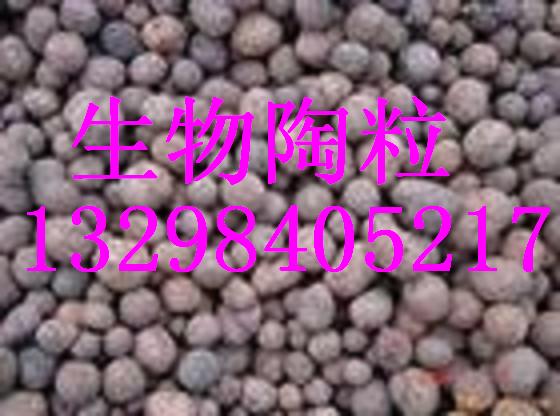 昭通工業(yè)廢水處理陶粒濾料廠家 昭通粘土陶粒價(jià)格報(bào)價(jià)