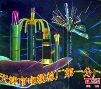 礦用屏蔽通信電纜，礦用屏蔽通信電纜生產(chǎn)*3158電纜網(wǎng)推薦