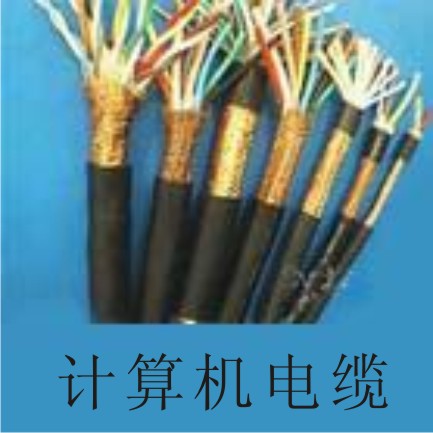 DJVP2V計(jì)算機(jī)電纜 計(jì)算機(jī)電纜DJVP2V 電纜DJVP2V