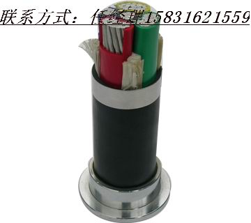 優(yōu)質(zhì)VV22電纜 VV22電力電纜 VV224*4電纜廠家詢盤(pán)