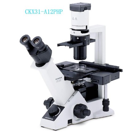 供應倒置顯微鏡奧林巴斯CKX31