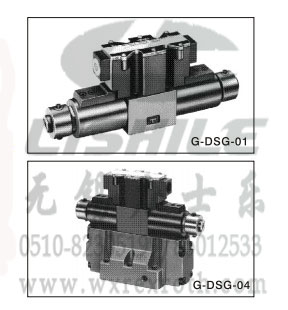 늴œQyG-DSG-01-10-3C2-S-50