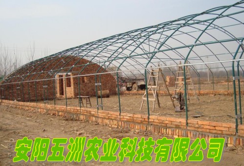 熱鍍鋅鋼管大棚 鋼架大棚 鋼管溫室大棚 建設(shè)鋼管大棚廠