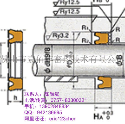 供應(yīng)日本NOK USI油封