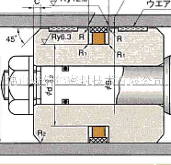 日本 NOK SPG 油封