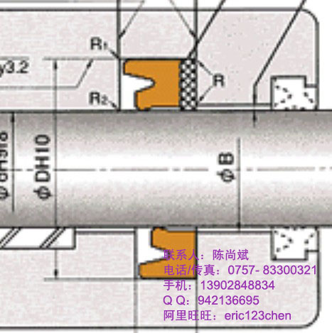 日本NOK ISI油封