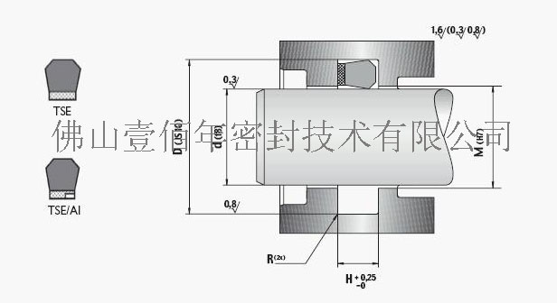 意大利液路堅(jiān)TSE密封件（規(guī)格2）