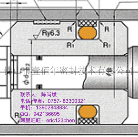 日本NOK SPGO油封