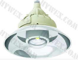 海洋王直銷(xiāo)CCD98防爆高效免維護(hù)LED照明燈 20W 防爆照明燈