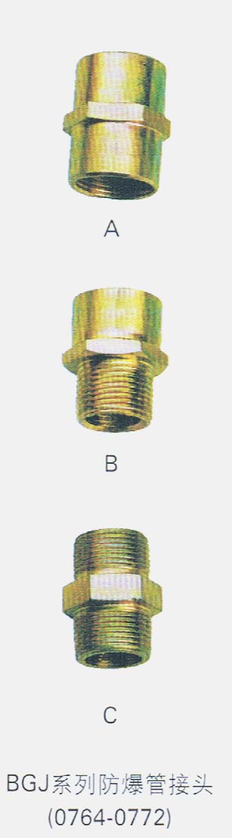 浙江樂(lè)清防爆管接頭廠(chǎng)家批發(fā)價(jià)格  管接頭