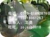 寶鋼65mn彈簧鋼價(jià)格/彈簧鋼片/全硬彈簧鋼板/彈簧鋼高碳鋼圓棒