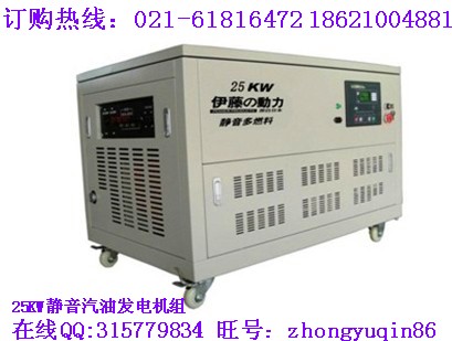 25kw汽油發(fā)電機(jī)|的汽油發(fā)電機(jī)廠伊藤實(shí)業(yè)供應(yīng)