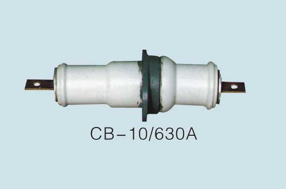 廠家CC-10、CWC-10/2000A穿墻套管《自產(chǎn)自銷》