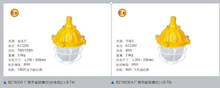 節(jié)能防爆燈