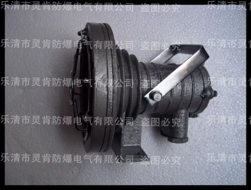 DGY20/127L，礦用投光燈，DGY礦用投光燈，20W礦用投光燈，投光燈