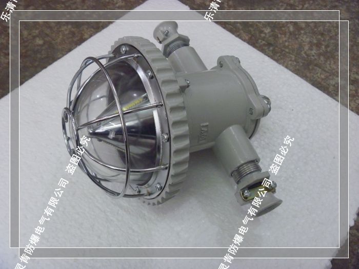 山西礦用LED巷道燈 20W 127V