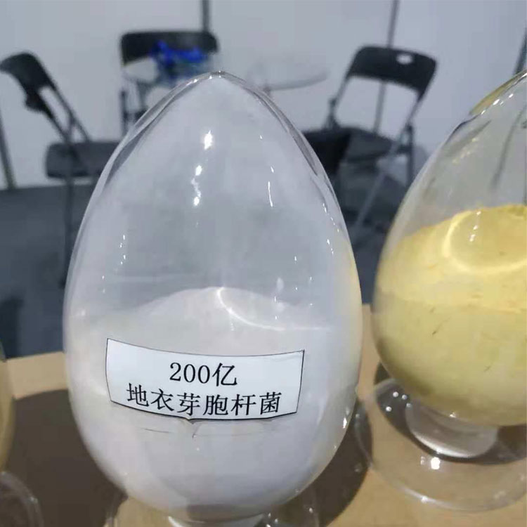 枯草芽孢桿菌廠家棕色的微生物原粉飼料添加劑