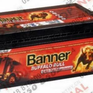 班納Banner蓄電池GIV12-12012v120ah鉛酸免維護(hù)電池