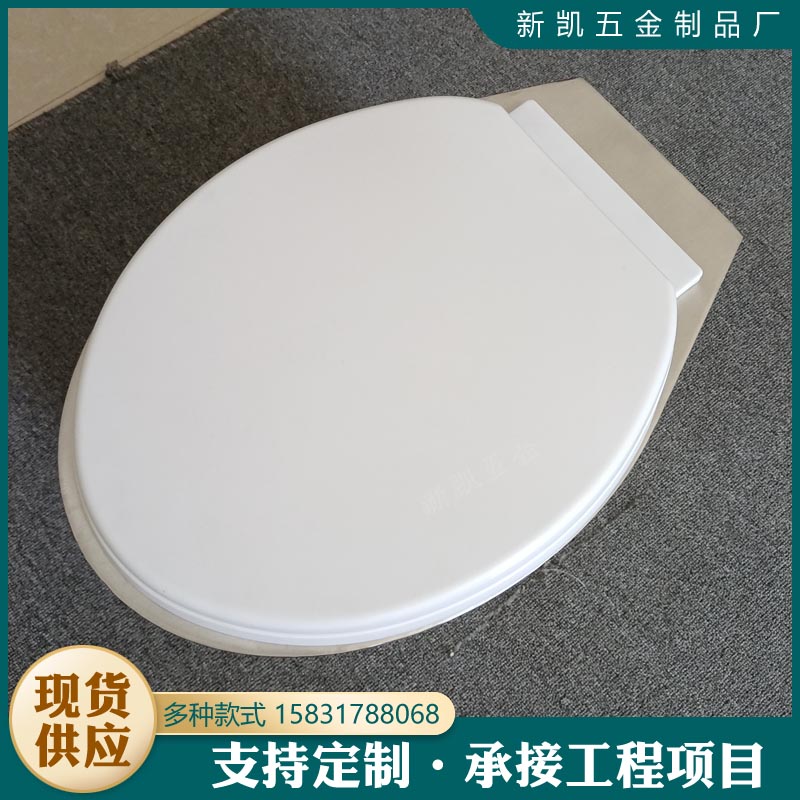 敬老院用不銹鋼坐便器環(huán)保防臭廁具帶蓋馬桶直排蹲便