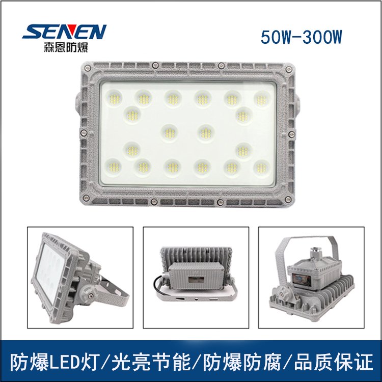 BSX86LEDledվLED100W