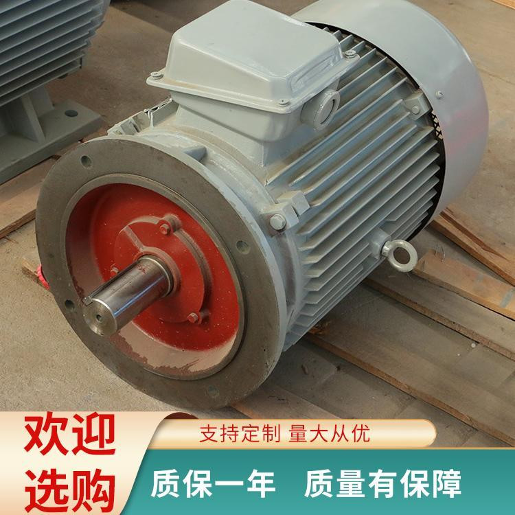 立式法蘭安裝永磁發(fā)電機(jī)1000w-5000kw直驅(qū)稀土無刷免維護(hù)永磁電機(jī)