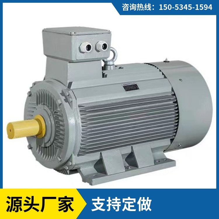 永磁同步發(fā)電機300kw1500rpm稀土直驅(qū)強磁變頻發(fā)電機