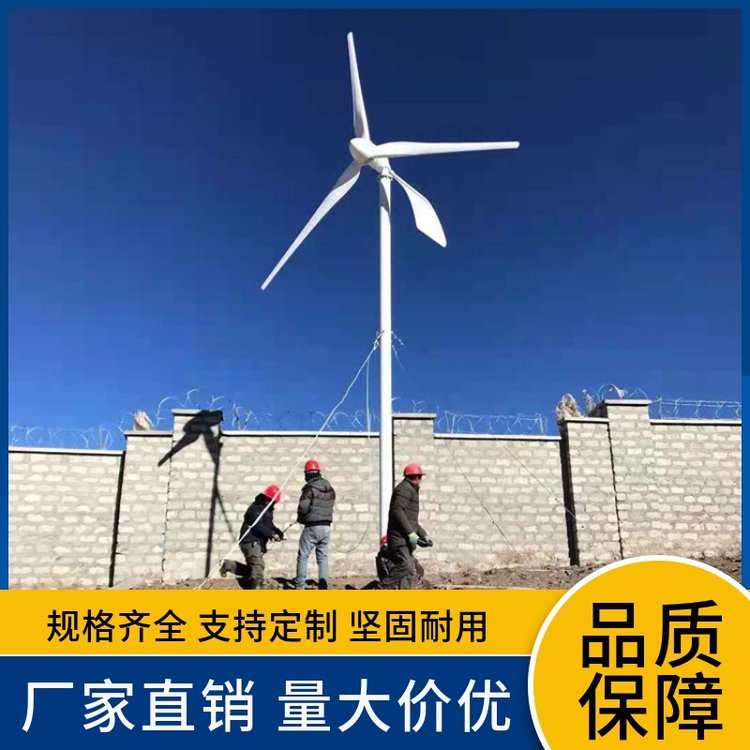 正品保證藍潤小型風力發(fā)電機1千瓦220V家用牧場用