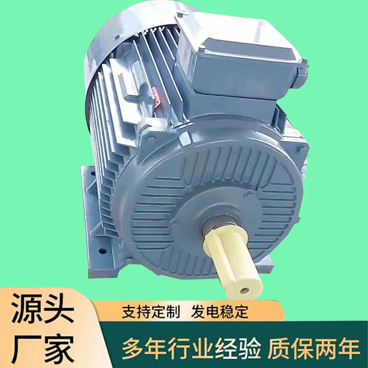 100KW380V稀土永磁同步交流防水發(fā)電機低轉速水力發(fā)電異形電機