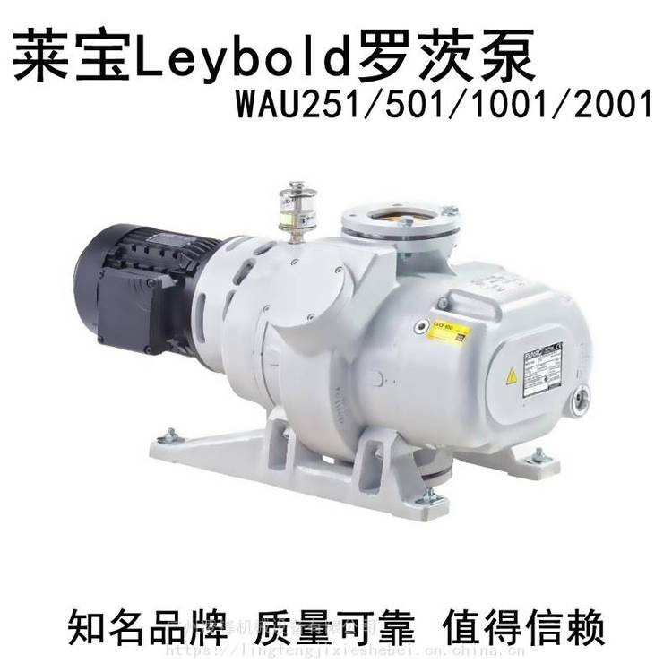 德國萊寶WAU2001羅茨泵Leybold真空泵WSU高真空機(jī)組電動(dòng)鐵鑄風(fēng)冷水冷