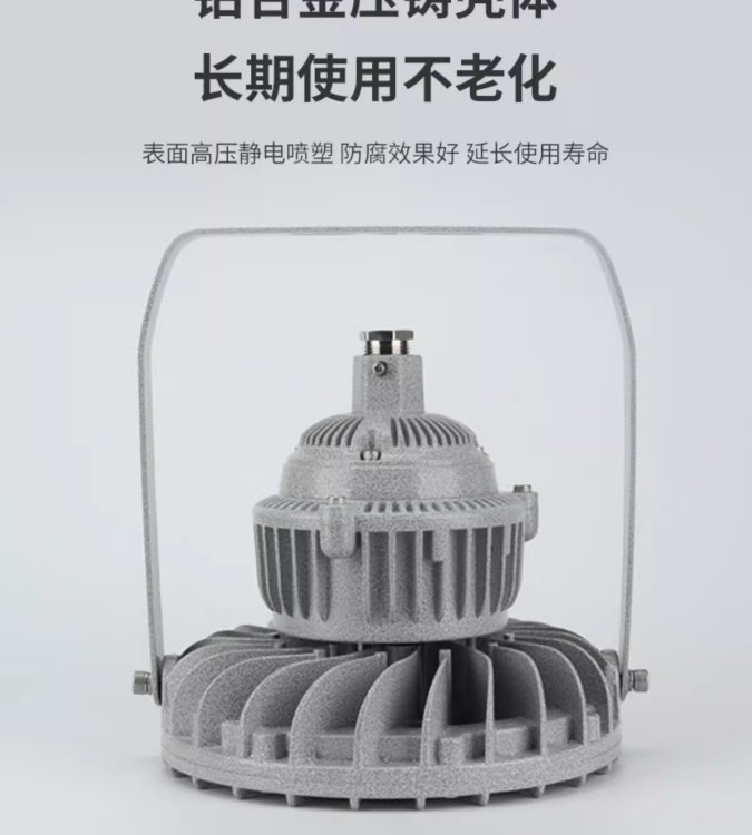 防爆燈led隔爆型照明燈100w\/200W加油站化工廠防水防腐投光燈吊燈