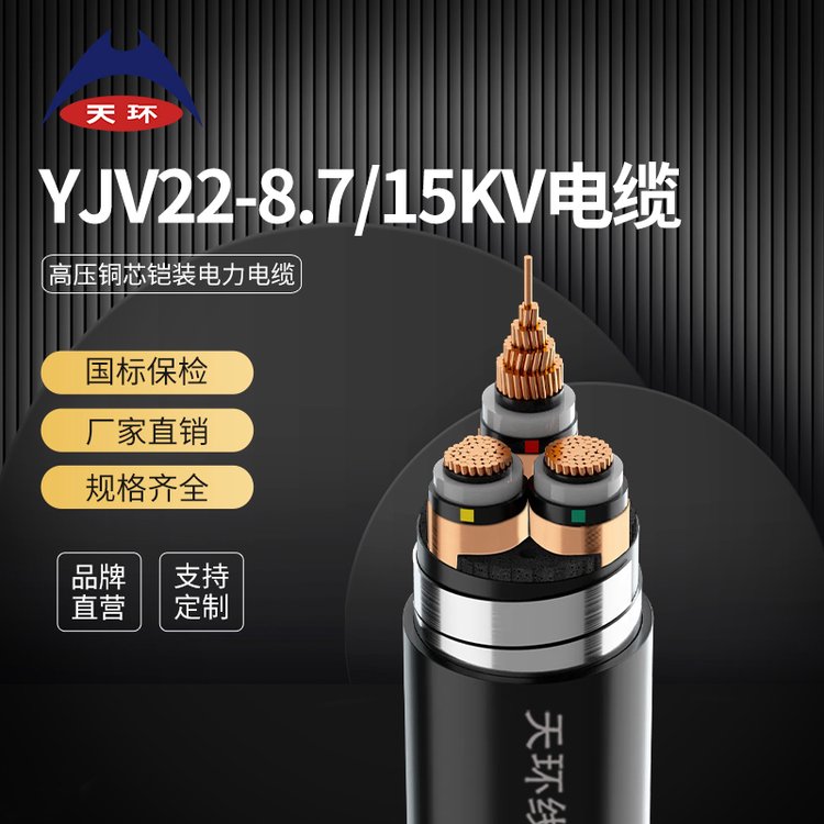 天環(huán)電纜阻燃銅芯電力電纜YJV22國(guó)標(biāo)10KV高壓電線電纜生產(chǎn)廠家