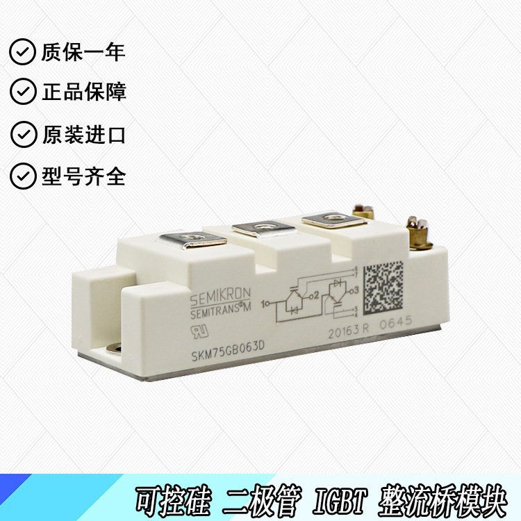 SEMIKRON西門(mén)康賽米控IGBT模塊SKM100GAR123D