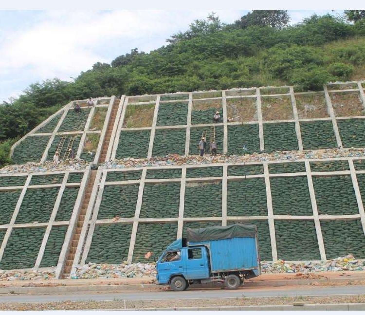 生態(tài)袋廠家路易達型號40*80cm質量好施工簡單可提供樣品