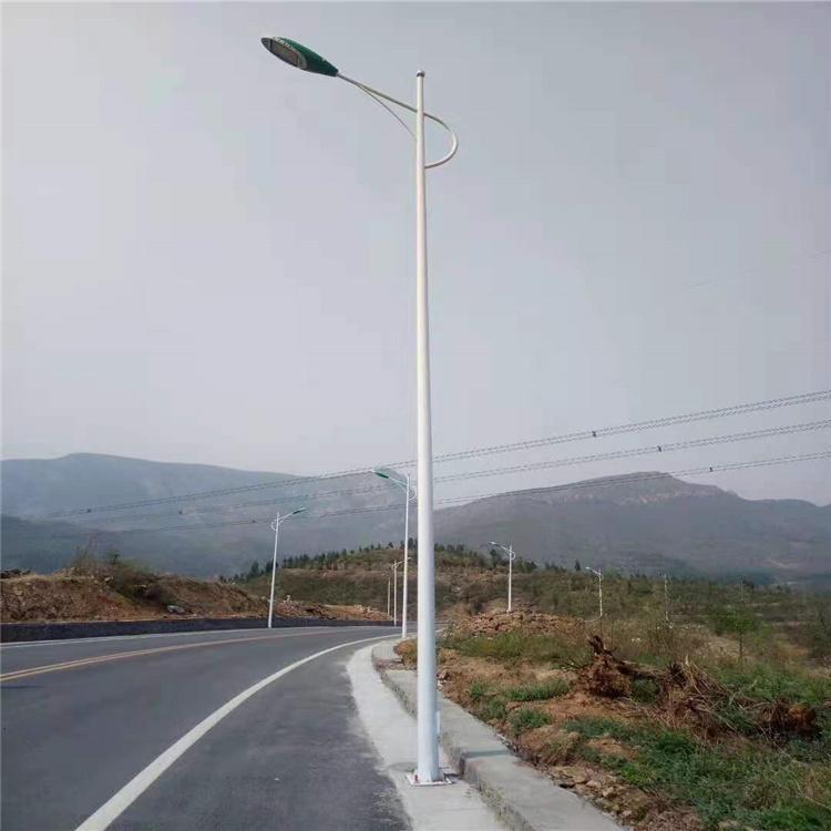 華朗燈具LED市電路燈220V電壓戶外照明定制燈頭燈桿