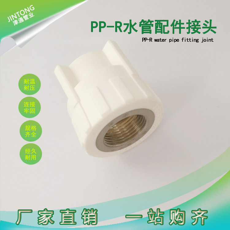 ppr內(nèi)絲直接帶絲扣直接銅件大體PPR管件源頭廠(chǎng)家批發(fā)