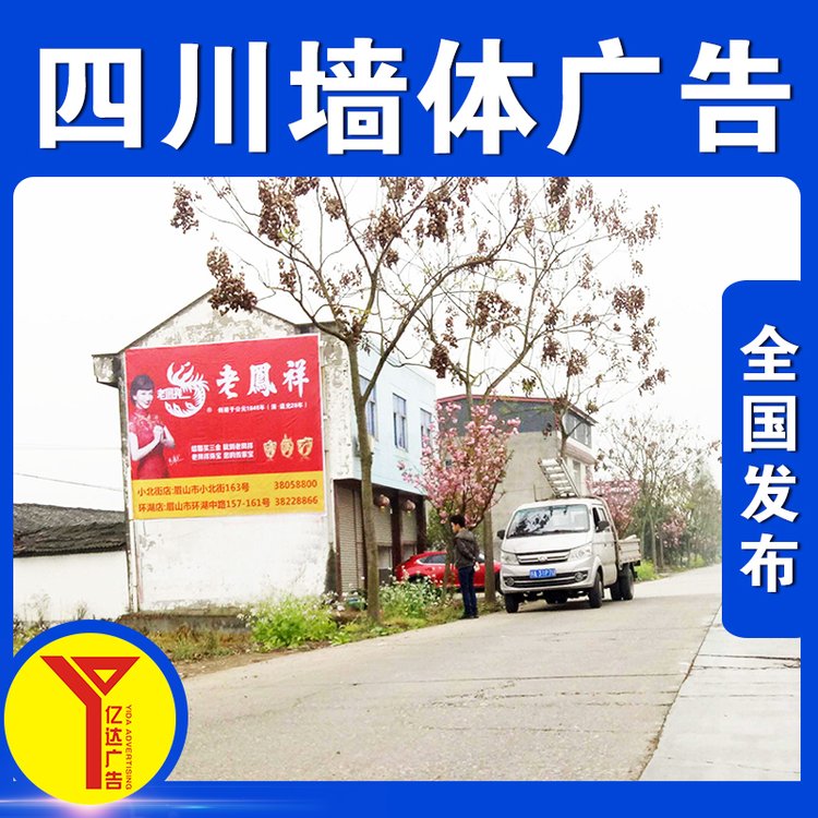 內(nèi)江隆昌市農(nóng)村墻面寫大字戶外刷墻廣告墻體標(biāo)語