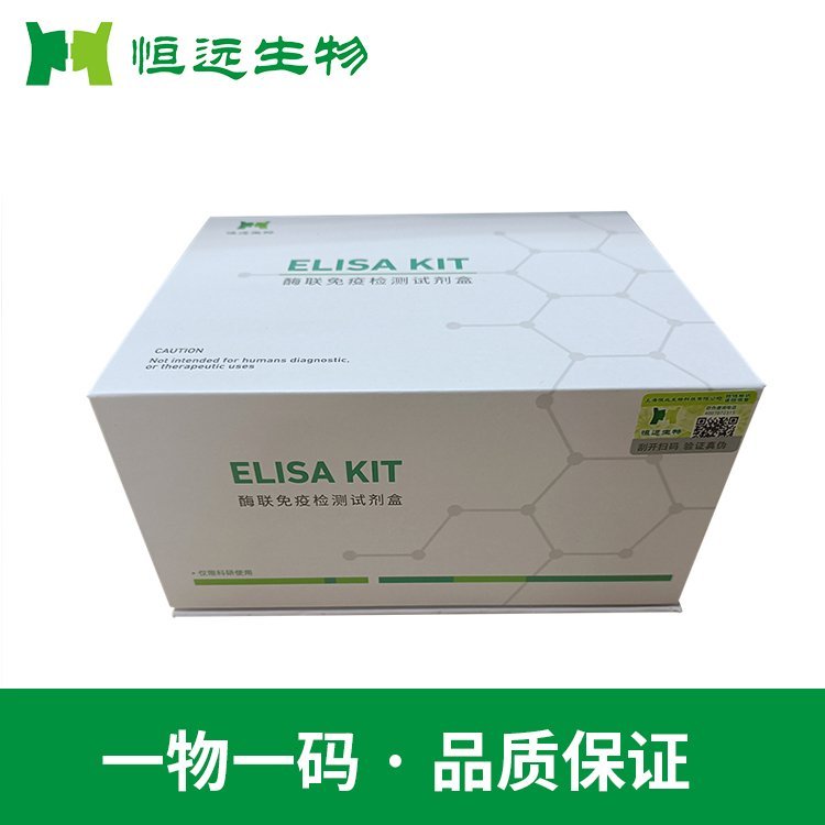 恒遠(yuǎn)生物大鼠前列腺素I2(PGI2)ELISA試劑盒酶聯(lián)免疫廠家