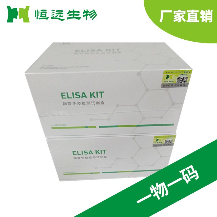 恒遠生物人信號素3B(SEMA3B)ELISA試劑盒的產(chǎn)品