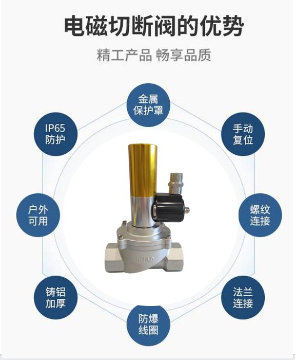 DRQFDN50螺紋-DRQF系列-電磁式燃?xì)饩o急切斷閥