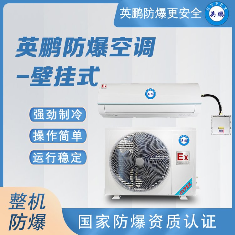 特種防爆空調(diào)掛壁式工業(yè)柜機(jī)空調(diào)2匹化工廠防爆空調(diào)EX防爆認(rèn)證IIC