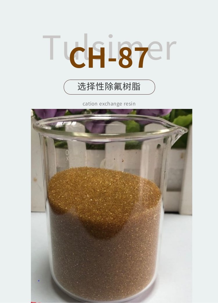 進(jìn)口Tulsimer除氟樹脂CH-87高鹽吸附氟化物工藝材料