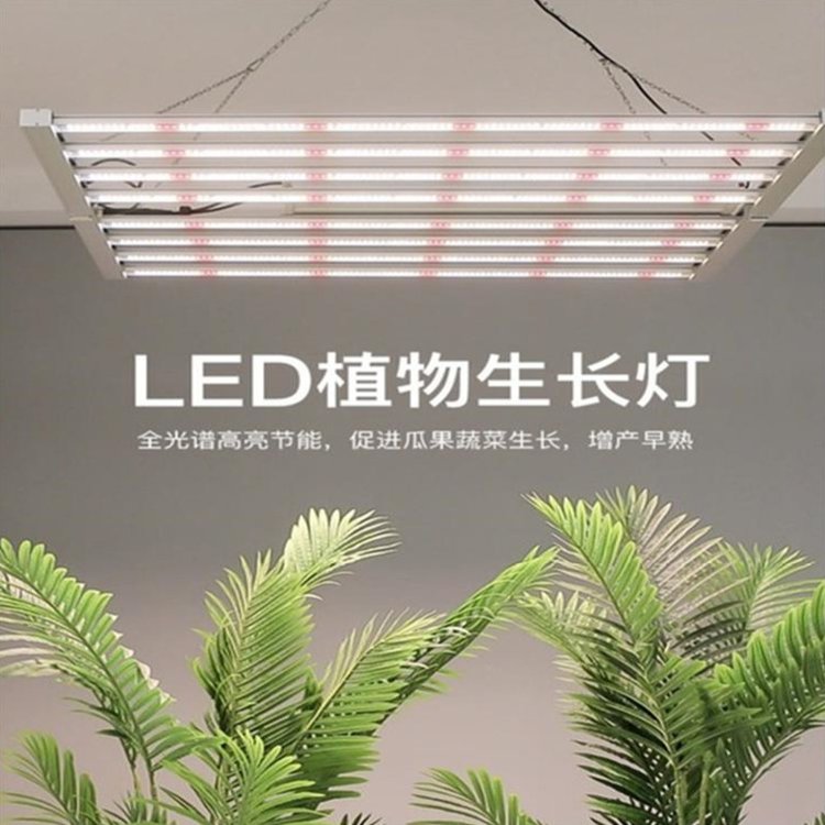 led深圳植物燈廠家直銷泰國藥材種植生長燈