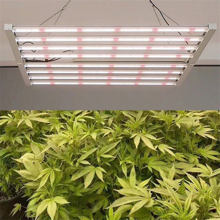 led植物生長燈廠家宏陽植物照明公司專注LED八爪魚植物補(bǔ)光燈