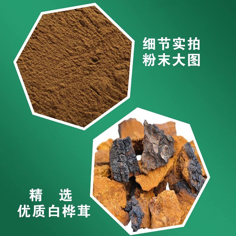 樺褐孔菌代加工廠俄羅斯進口樺樹茸白樺茸定制生產(chǎn)廠家