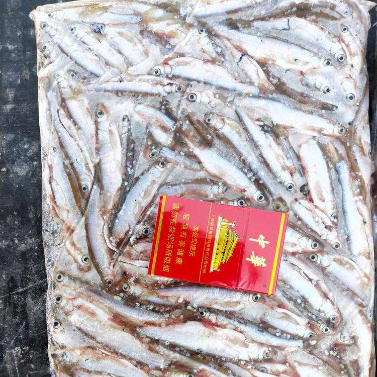 全年供貨淡水小雜魚水產(chǎn)批發(fā)各類小雜魚小雜魚貨源批發(fā)市場(chǎng)